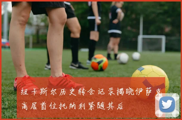 纽卡斯尔历史转会记录揭晓伊萨克高居首位托纳利紧随其后