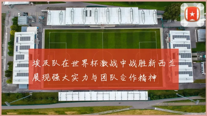 埃及队在世界杯激战中战胜新西兰展现强大实力与团队合作精神