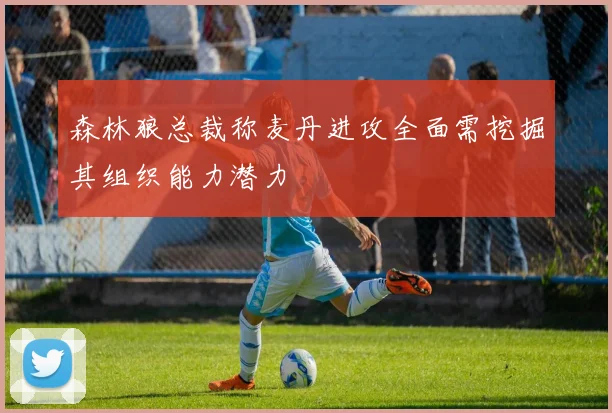 森林狼总裁称麦丹进攻全面需挖掘其组织能力潜力